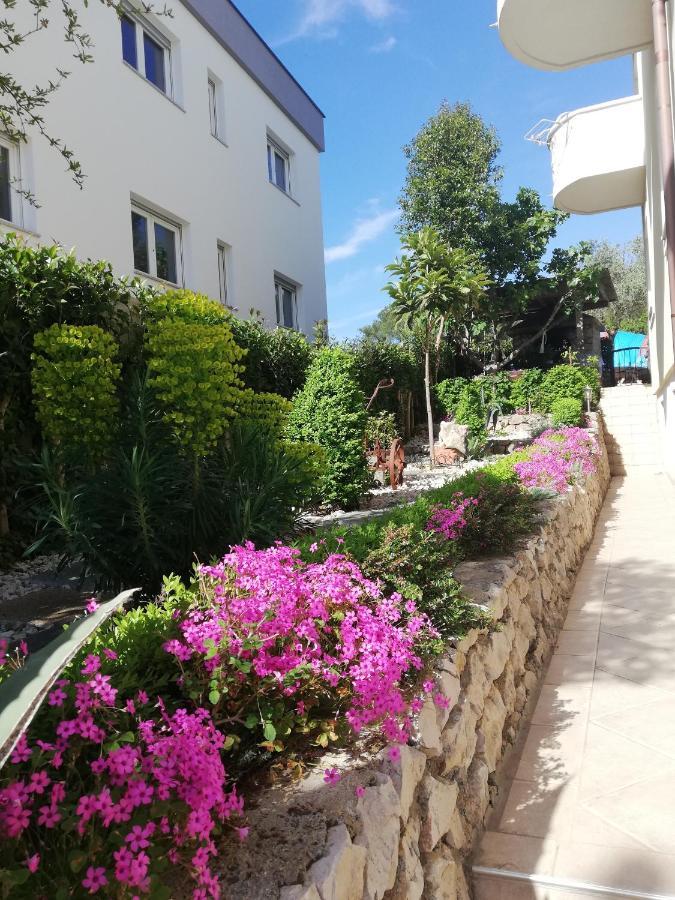 Villa Maslina Zadar Exteriér fotografie