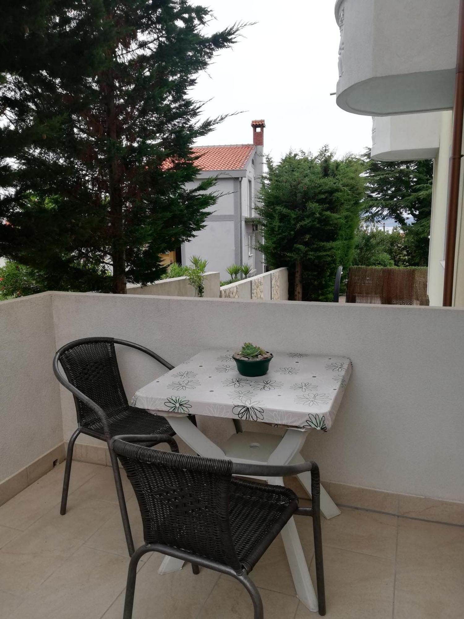 Villa Maslina Zadar Pokoj fotografie